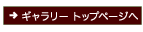 今月の壁紙ページへ