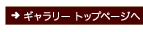 今月の壁紙ページへ